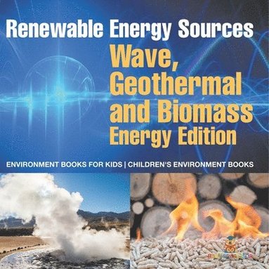 bokomslag Renewable Energy Sources - Wave, Geothermal and Biomass Energy Edition