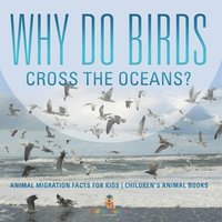 bokomslag Why Do Birds Cross the Oceans? Animal Migration Facts for Kids Children's Animal Books