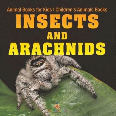 bokomslag Insects and Arachnids