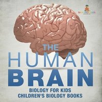 bokomslag Human Brain - Biology for Kids Children's Biology Books