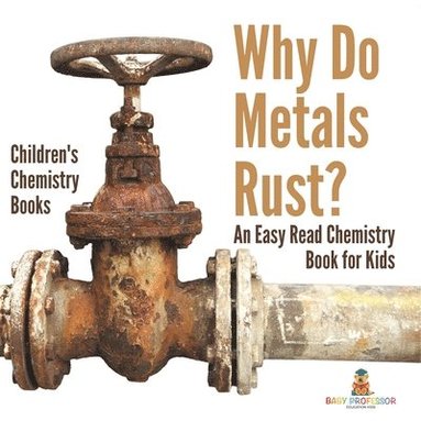 bokomslag Why Do Metals Rust? An Easy Read Chemistry Book for Kids Children's Chemistry Books