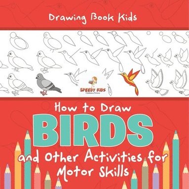bokomslag Drawing Book Kids. How to Draw Birds and Other Activities for Motor Skills. Winged Animals Coloring, Drawing and Color by Number