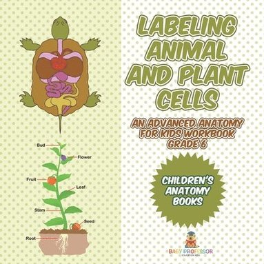 bokomslag Labeling Animal and Plant Cells - An Advanced Anatomy for Kids Workbook Grade 6 Children's Anatomy Books