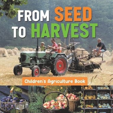 bokomslag From Seed to Harvest - Children's Agriculture Books