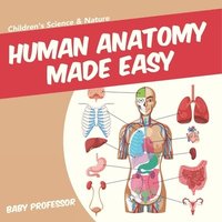 bokomslag Human Anatomy Made Easy - Children's Science & Nature