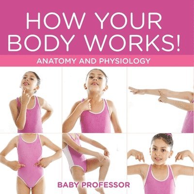 How Your Body Works! Anatomy and Physiology 1