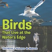 bokomslag Birds That Live at the Water's Edge Children's Science & Nature