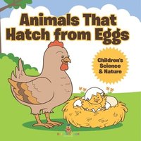 bokomslag Animals That Hatch from Eggs Children's Science & Nature