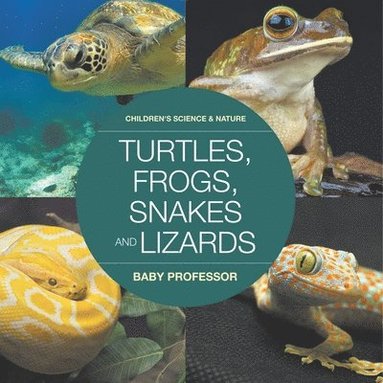 bokomslag Turtles, Frogs, Snakes and Lizards Children's Science & Nature