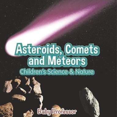 bokomslag Asteroids, Comets and Meteors Children's Science & Nature