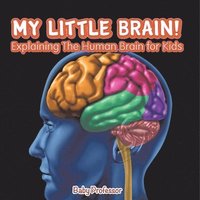 bokomslag My Little Brain! - Explaining The Human Brain for Kids