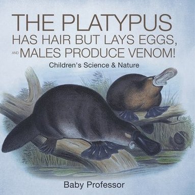 bokomslag Platypus Has Hair but Lays Eggs, and Males Produce Venom! Children's Science & Nature