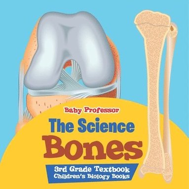 bokomslag Science of Bones 3rd Grade Textbook Children's Biology Books