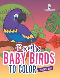 bokomslag Exotic Baby Birds to Color Coloring Book
