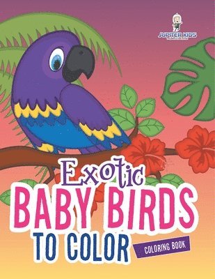 bokomslag Exotic Baby Birds to Color Coloring Book