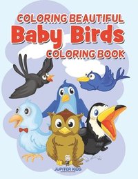 bokomslag Coloring Beautiful Baby Birds Coloring Book
