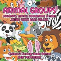 bokomslag Animal Groups (Mammals, Reptiles, Amphibians & More)