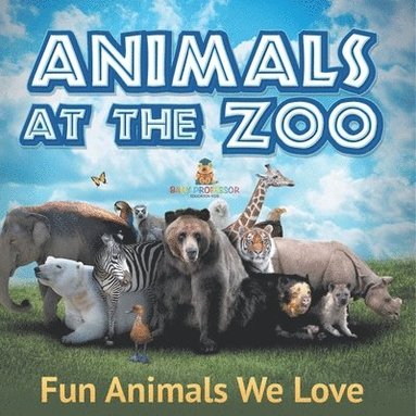 bokomslag Animals at the Zoo