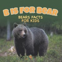 bokomslag B is for Bear