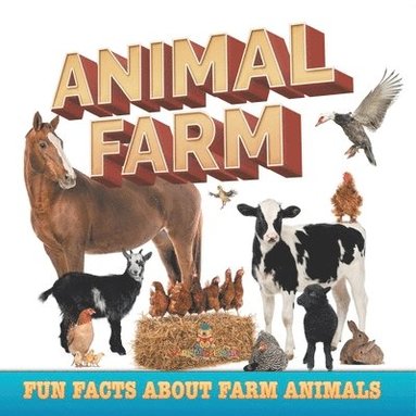 bokomslag Animal Farm
