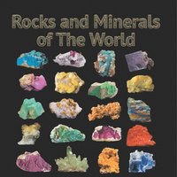 bokomslag Rocks and Minerals of The World