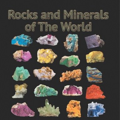 bokomslag Rocks and Minerals of The World