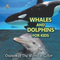 bokomslag Whales and Dolphins for Kids