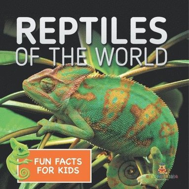 bokomslag Reptiles of the World Fun Facts for Kids