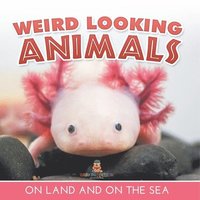 bokomslag Weird Looking Animals On Land and On The Sea