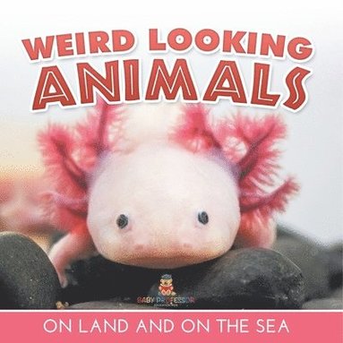 bokomslag Weird Looking Animals On Land and On The Sea