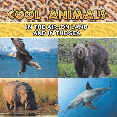 Cool Animals 1