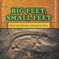 bokomslag Big Feet, Small Feet