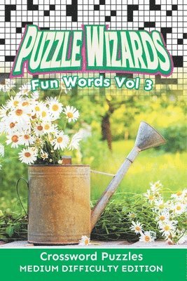 bokomslag Puzzle Wizards Fun Words Vol 3