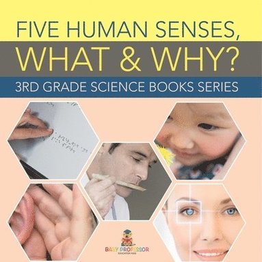 bokomslag Five Human Senses, What & Why?