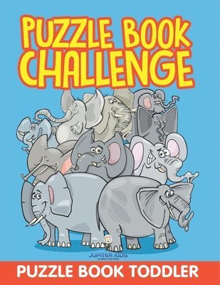 bokomslag Puzzle Book Challenge