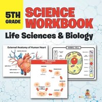 bokomslag 5th Grade Science Workbook