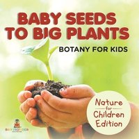 bokomslag Baby Seeds To Big Plants