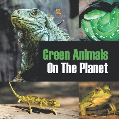 bokomslag Green Animals On The Planet
