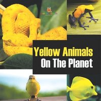 bokomslag Yellow Animals On The Planet