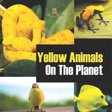 bokomslag Yellow Animals On The Planet