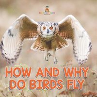 bokomslag How and Why Do Birds Fly