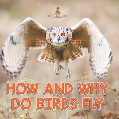 bokomslag How and Why Do Birds Fly