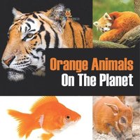 bokomslag Orange Animals On The Planet