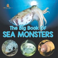 bokomslag Big Book Of Sea Monsters (Scary Looking Sea Animals)