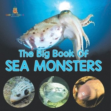 bokomslag Big Book Of Sea Monsters (Scary Looking Sea Animals)