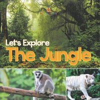 bokomslag Let's Explore the Jungle