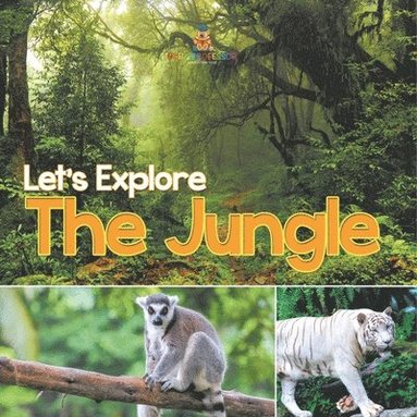 bokomslag Let's Explore the Jungle