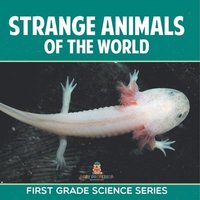 bokomslag Strange Animals Of The World