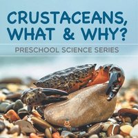 bokomslag Crustaceans, What & Why?