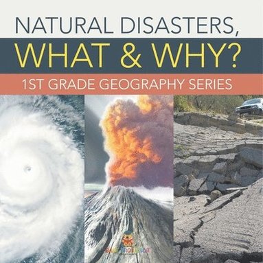 bokomslag Natural Disasters, What & Why?